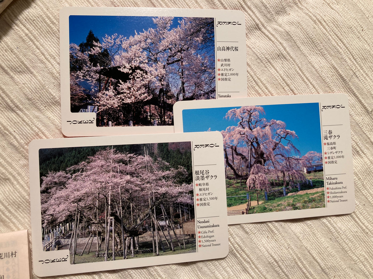 Japanese Cherry Blossom Playing Cards