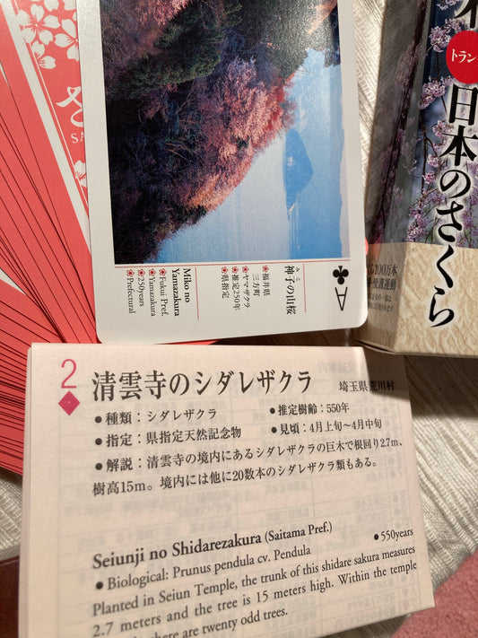 Japanese Cherry Blossom Playing Cards