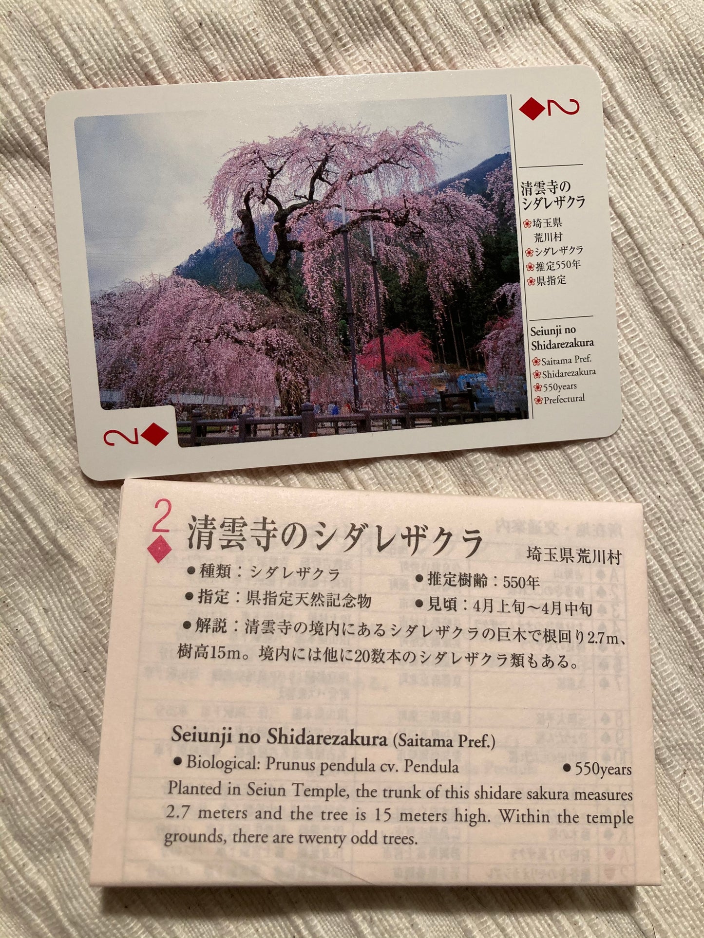 Japanese Cherry Blossom Playing Cards