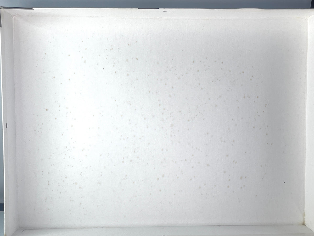 Rakugai-zu (Kyōto Surroundings) from The Mary and Jackson Burke Collection — 2000 pieces wide