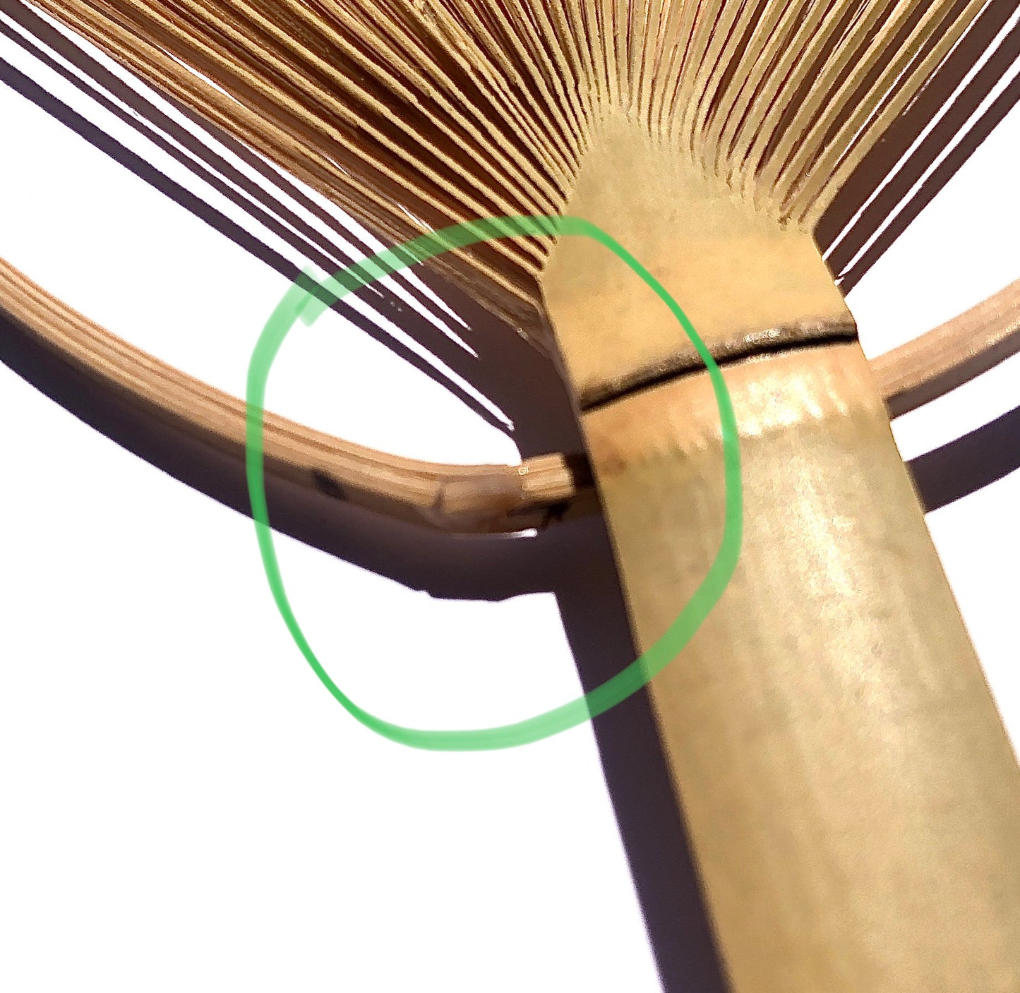 My Neighbor Totoro – Oval Bamboo Fan "Totoro Playing Ocarina"