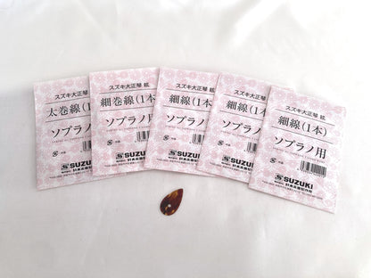 Taishōgoto harp (大正琴) with hard case - Suzuki Ran Electric