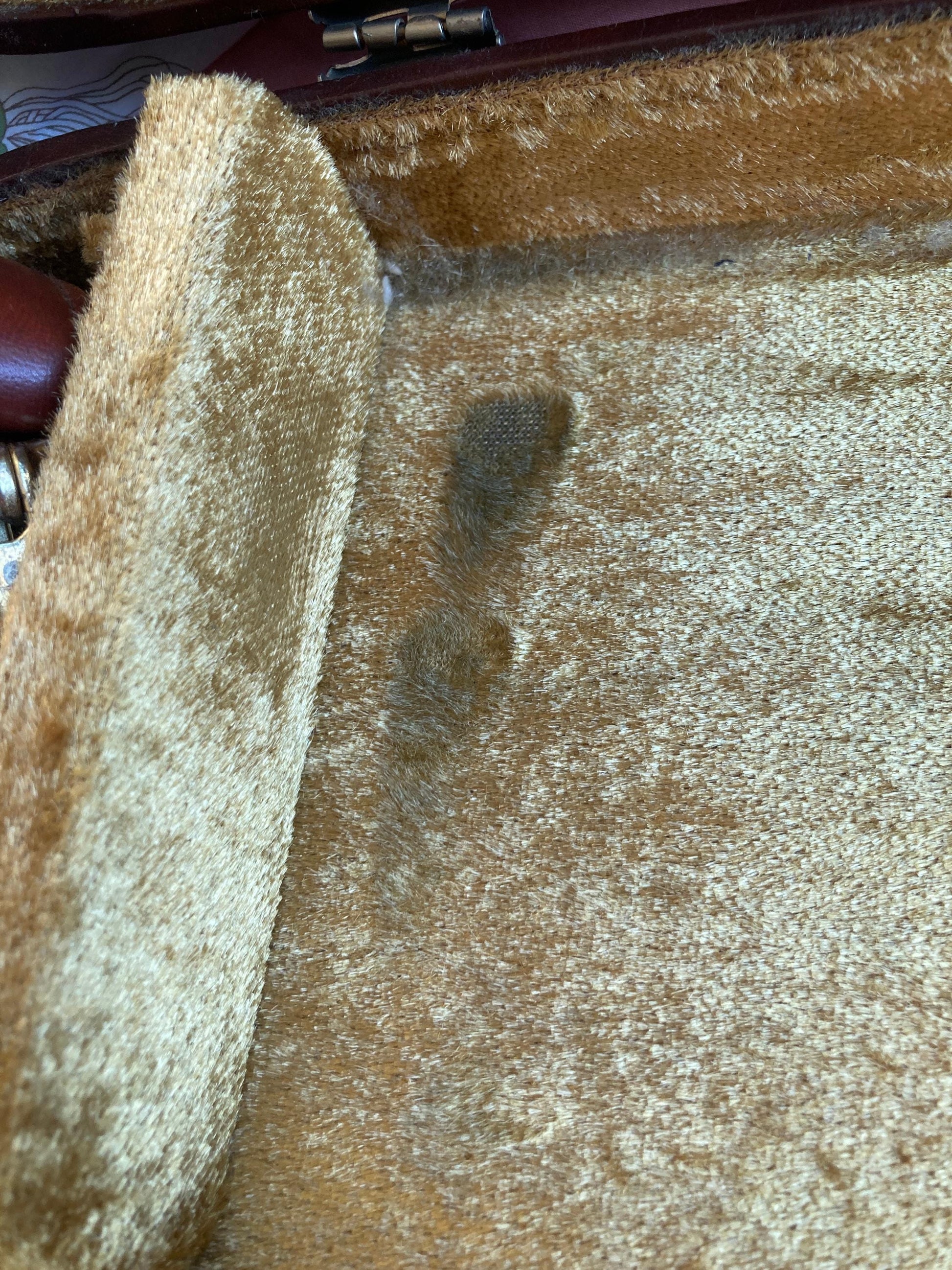 Taishōgoto harp (大正琴) with hard case - Suzuki Ran Electric