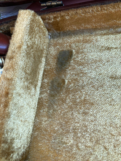 Taishōgoto harp (大正琴) with hard case - Suzuki Ran Electric