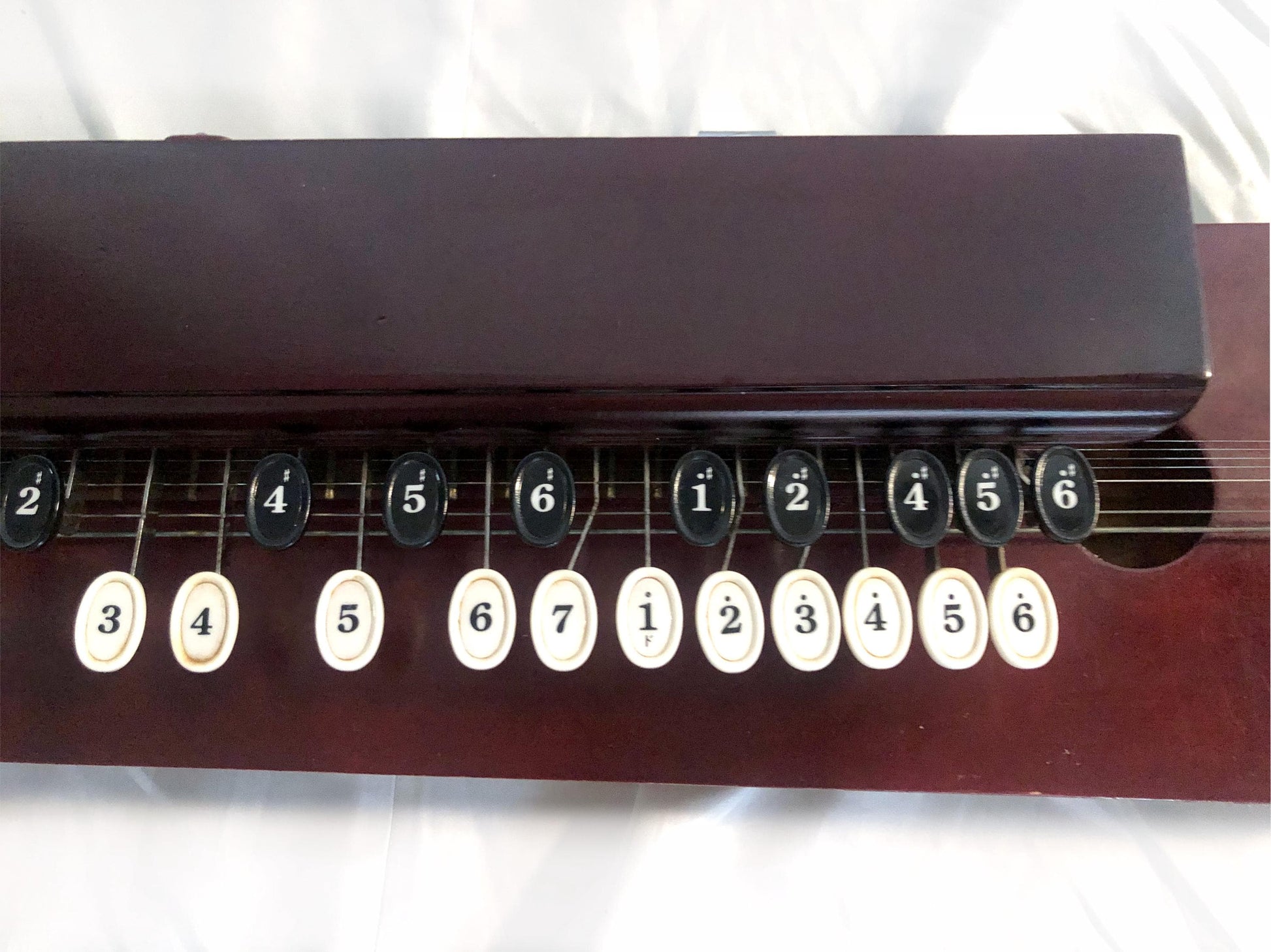 Vitnage Japanese harp - Suzuki Matsu - acoustic taishogoto harp with soft case