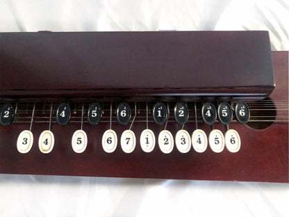 Vitnage Japanese harp - Suzuki Matsu - acoustic taishogoto harp with soft case