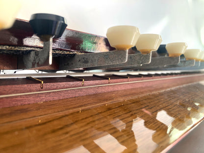 Taishōgoto harp (大正琴) "Momiji" with tone and volume adjustment in a hard case