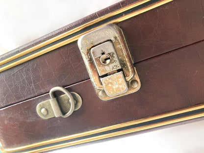 Taishōgoto harp (大正琴) with hard case - Suzuki Ran Electric