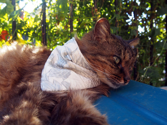 Vintage kimono bandana for pets - size S