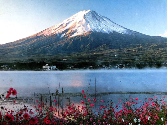 Cosmos and Fuji jigsaw puzzle