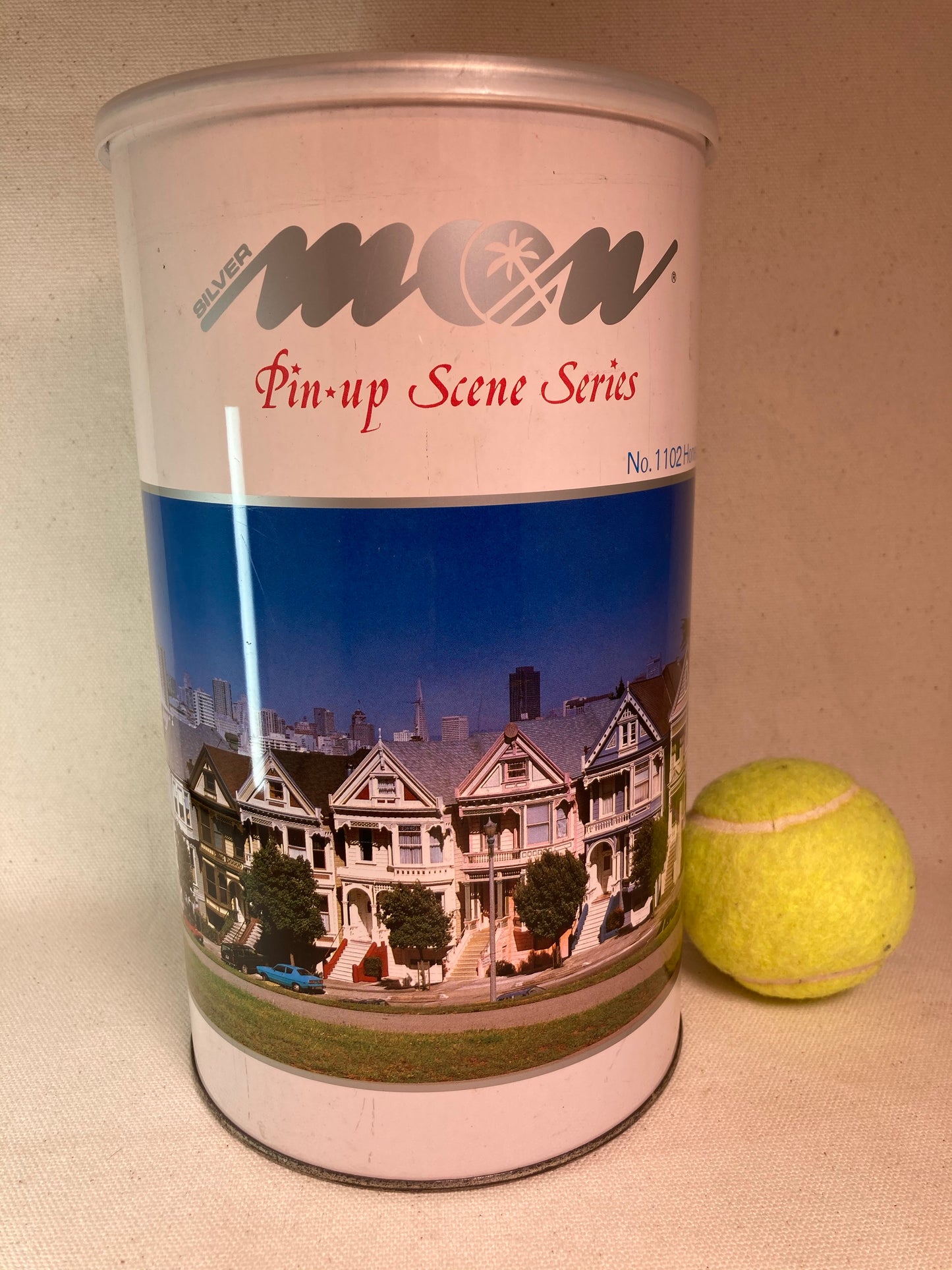 San Francisco “Painted Ladies” 1000 pieces