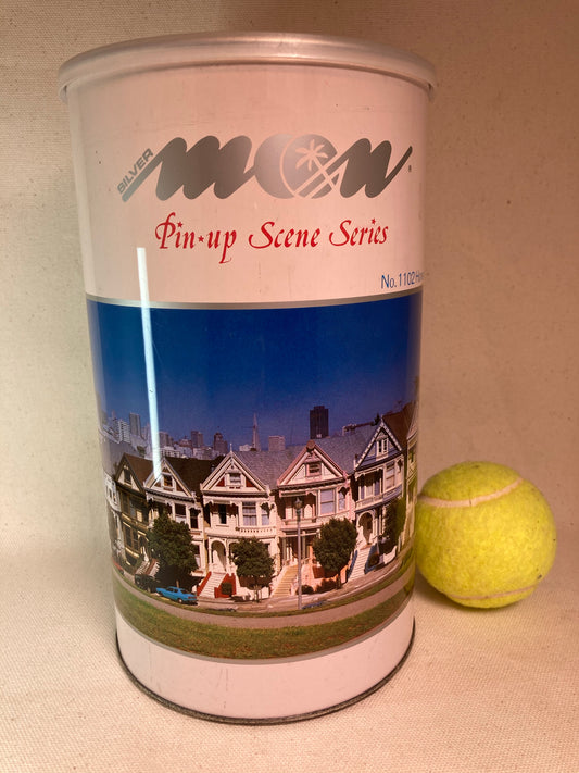 San Francisco “Painted Ladies” 1000 pieces