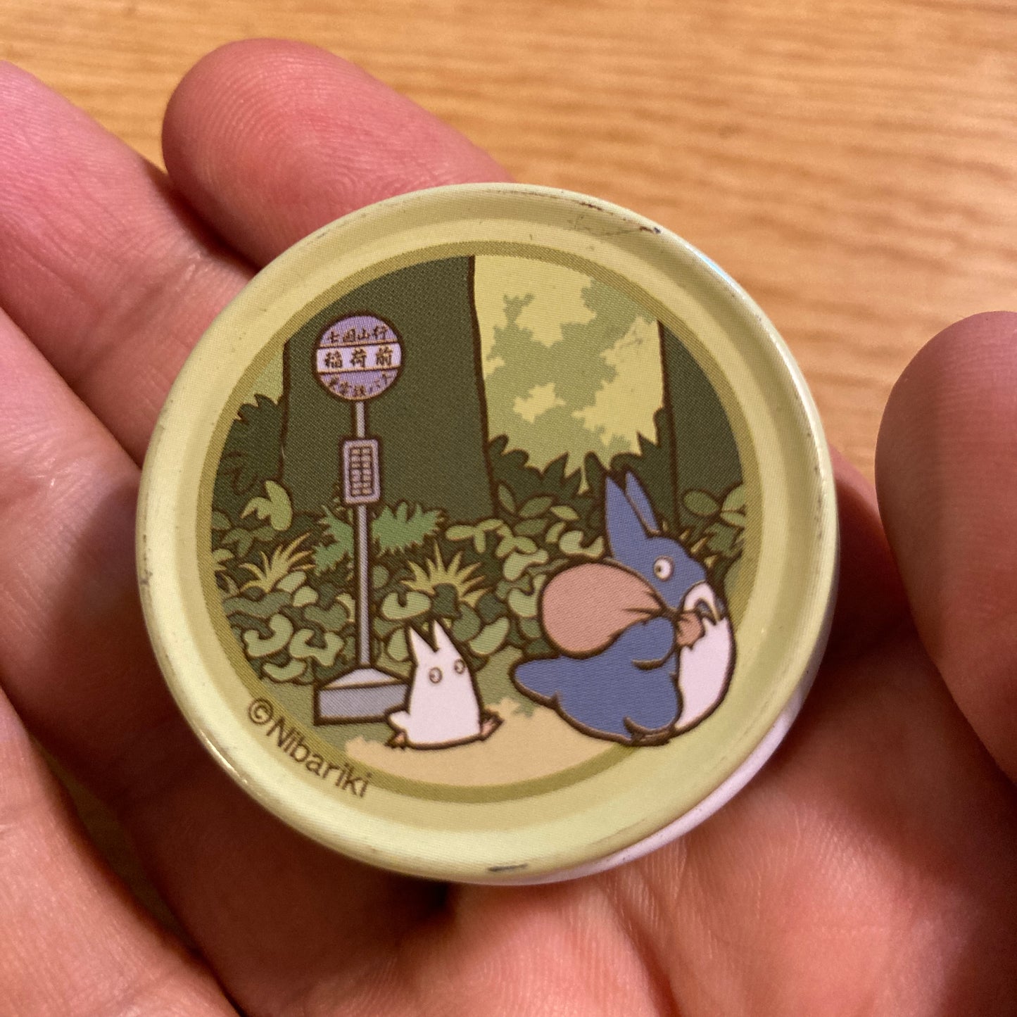 My Neighbor Totoro Charm + Metal box