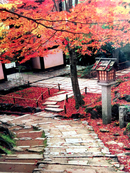 “The Red Leaves of Jōjakkōji”