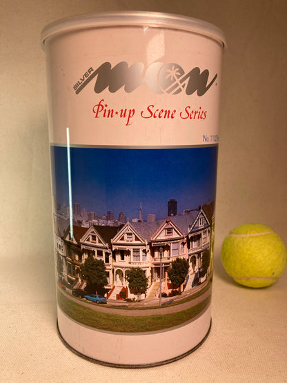 San Francisco “Painted Ladies” 1000 pieces