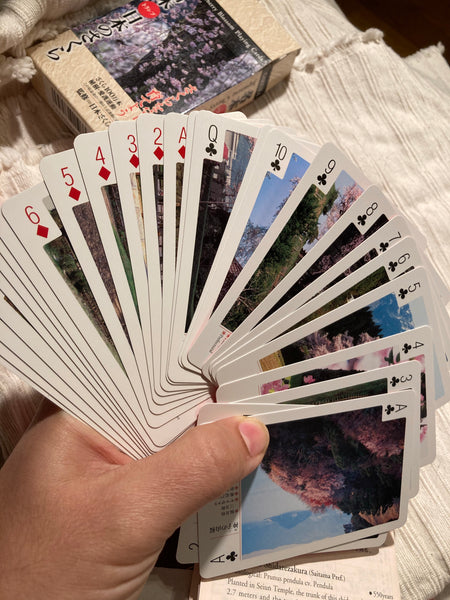 Japanese Cherry Blossom Playing Cards