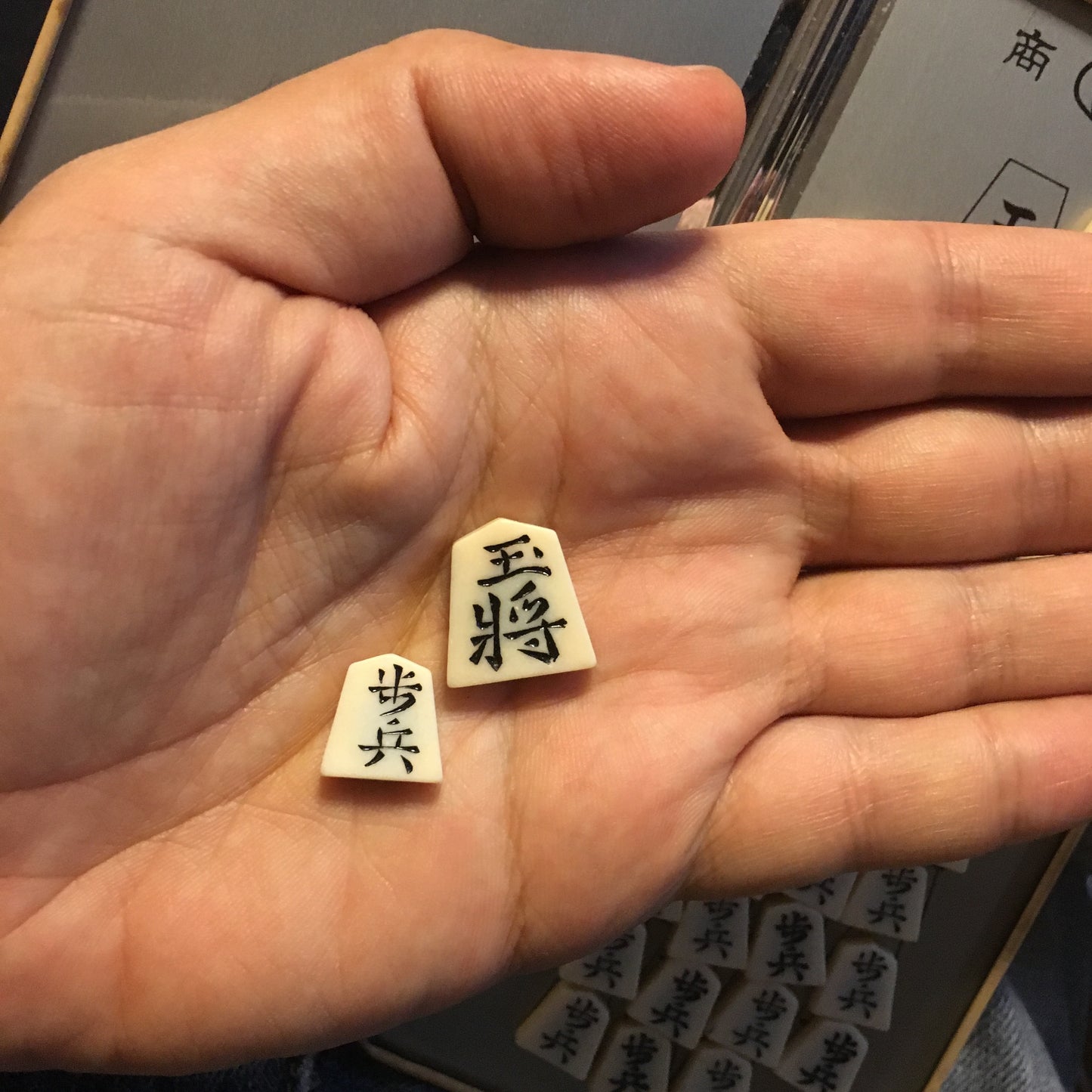Japanese Chess Shōgi （将棋）