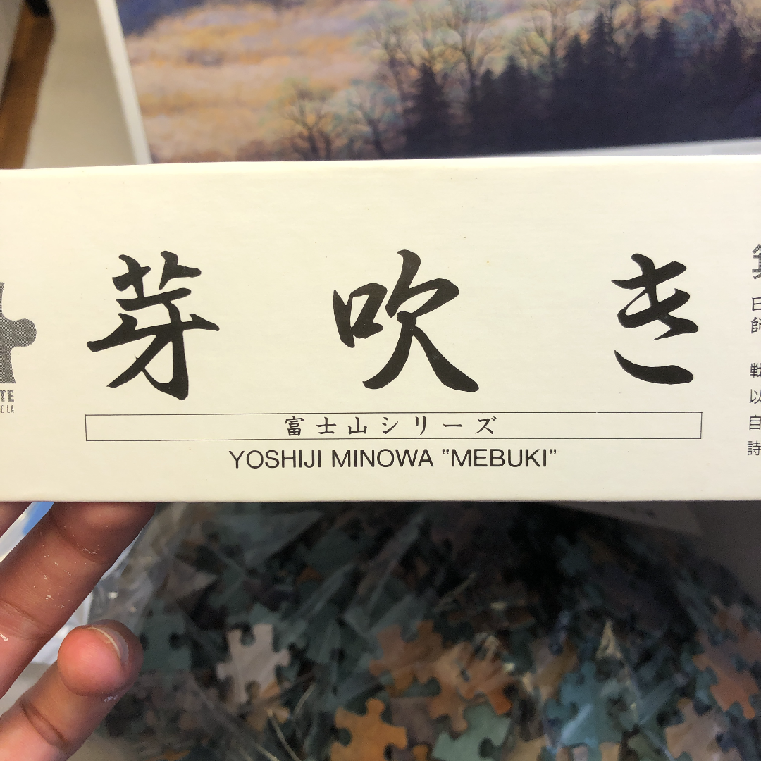 Yoshiji Minowa’s Mount Fuji