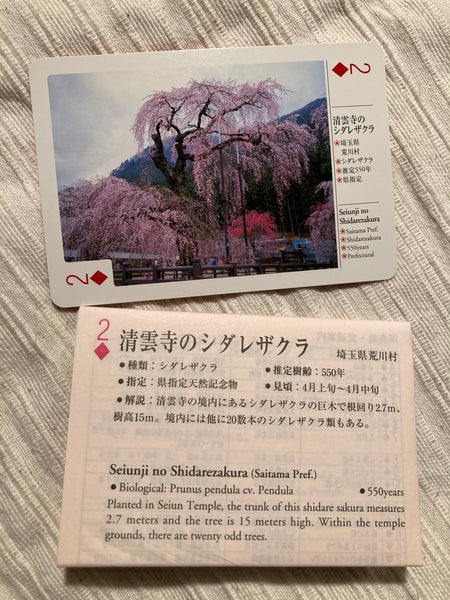 Japanese Cherry Blossom Playing Cards
