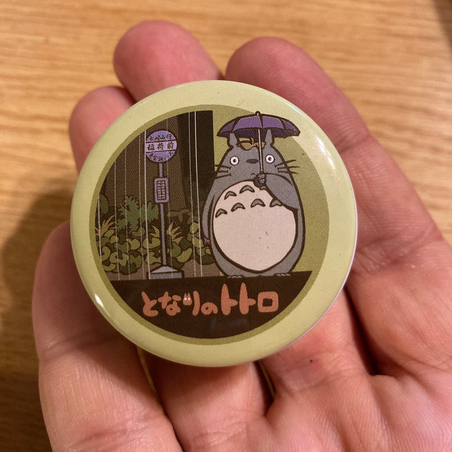 My Neighbor Totoro Charm + Metal box