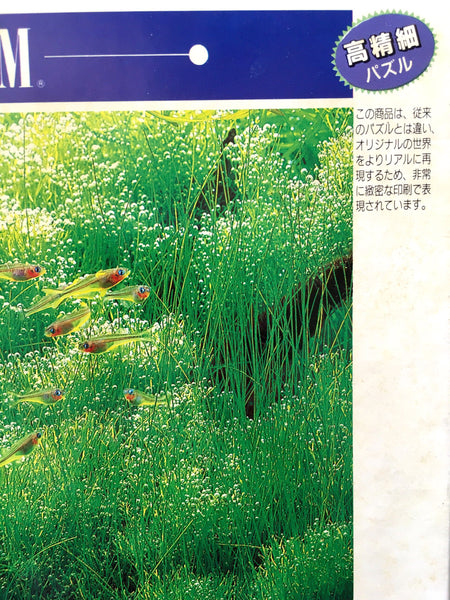 Nature Aquarium