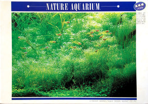 Nature Aquarium